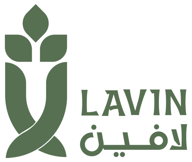 lavin store