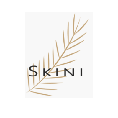 Skini