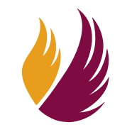 Sachibo