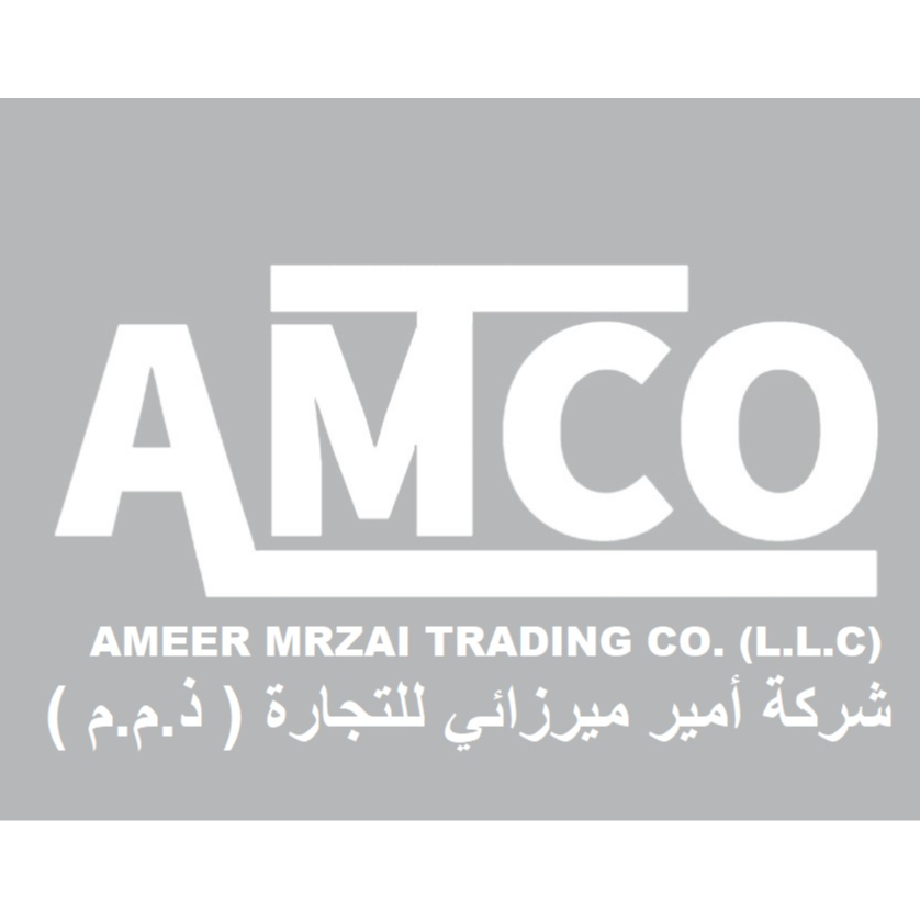 AMEER MERZAI