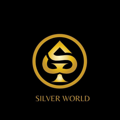 SILVER WORLD LLC