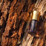 THE PARFUM