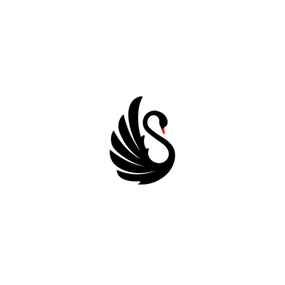 Black Swan Business Set up Services
