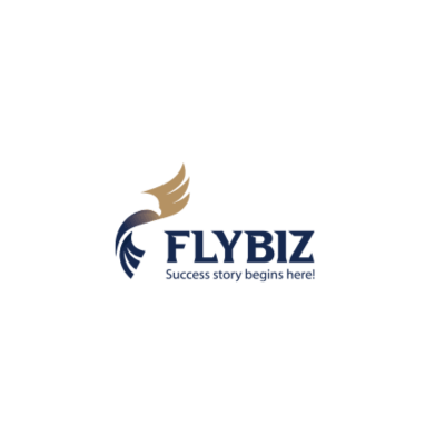 FLYBIZ (NI)