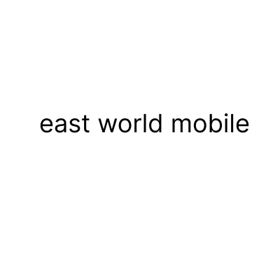 East World Electronics LLC