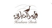 طيور الحباري