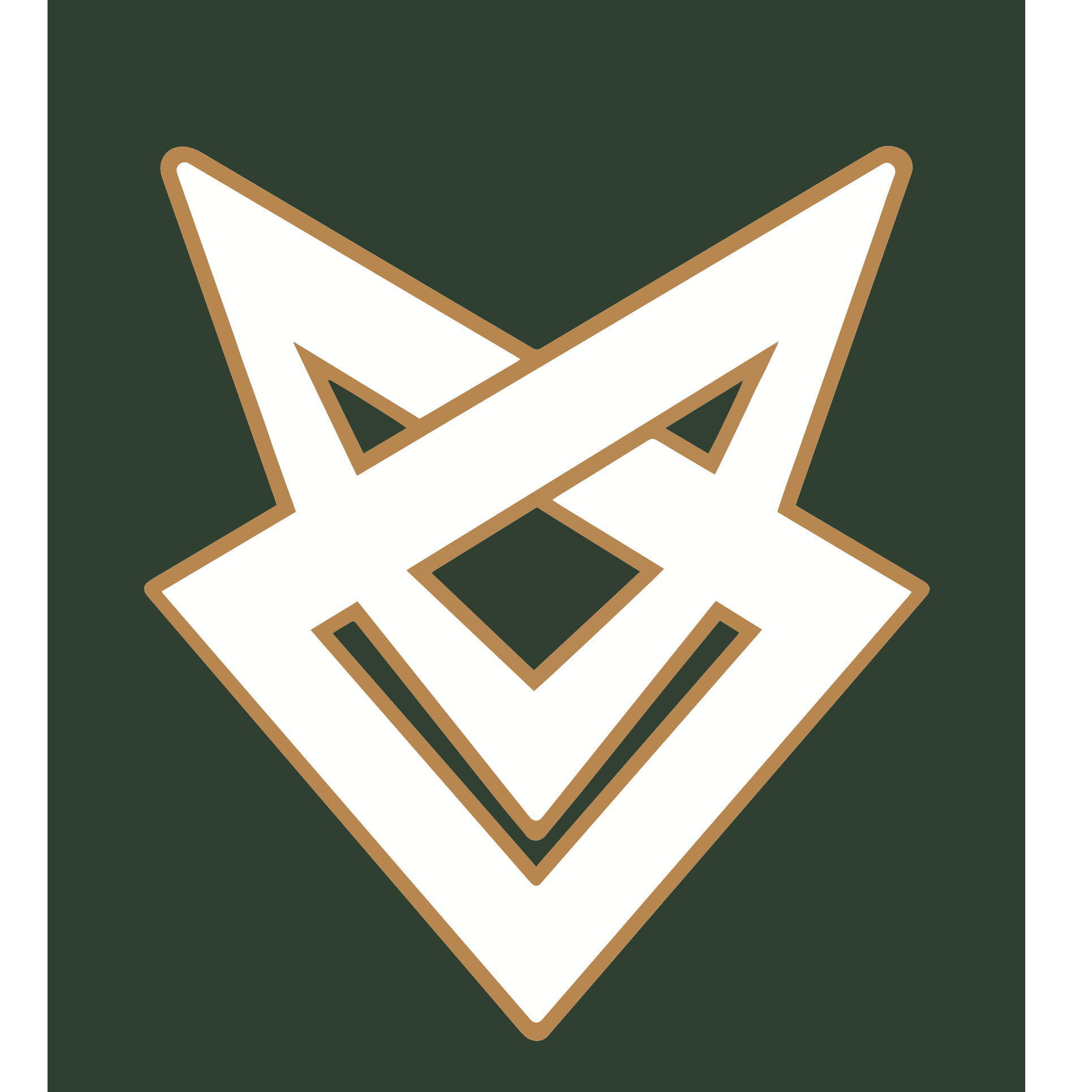 Volk LUXURY