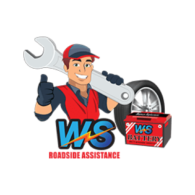 WS 600 Battery