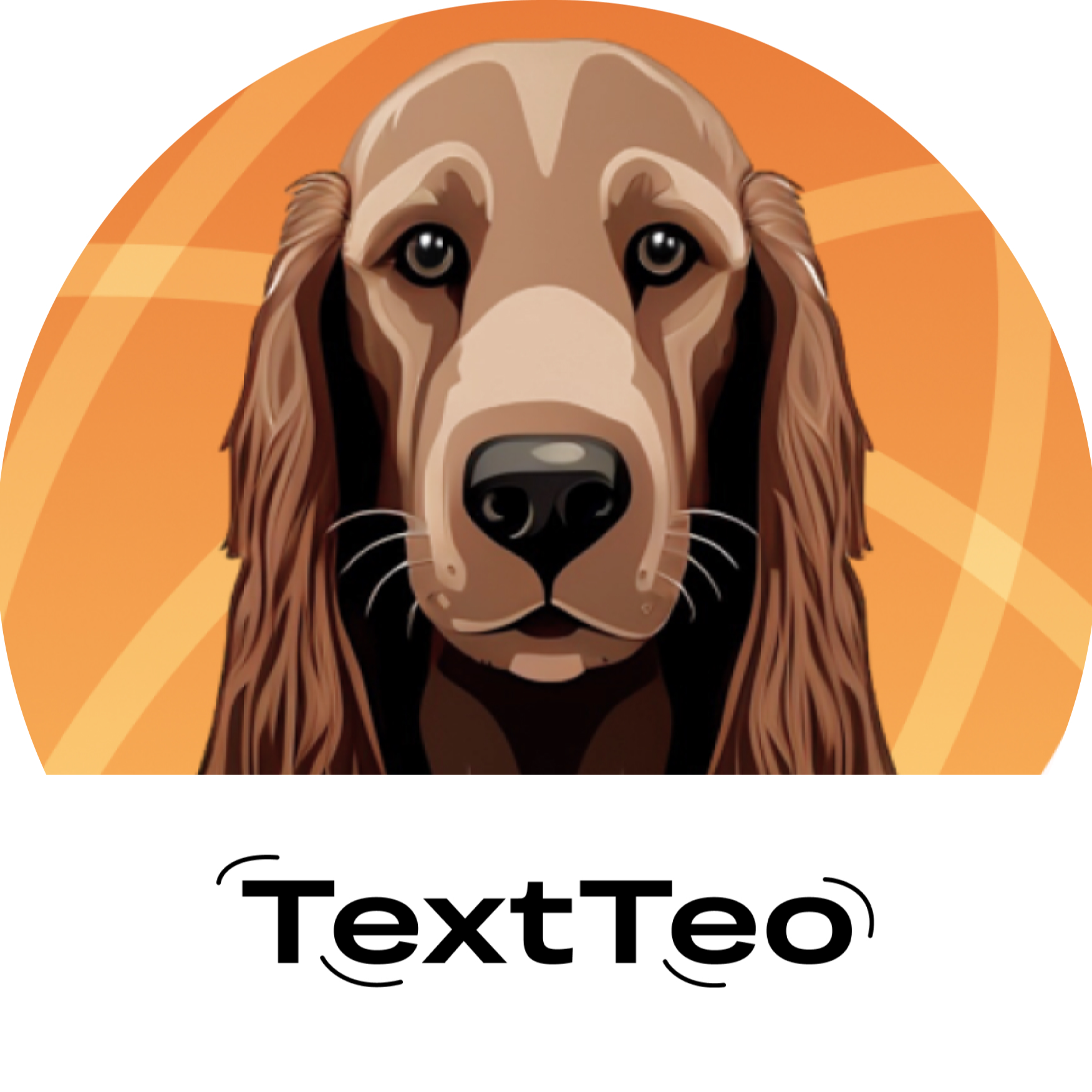 TextTeo