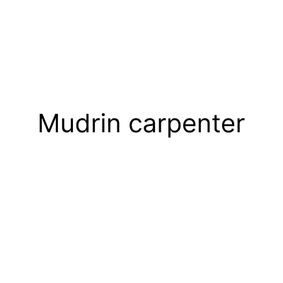 Mudrin carpenter
