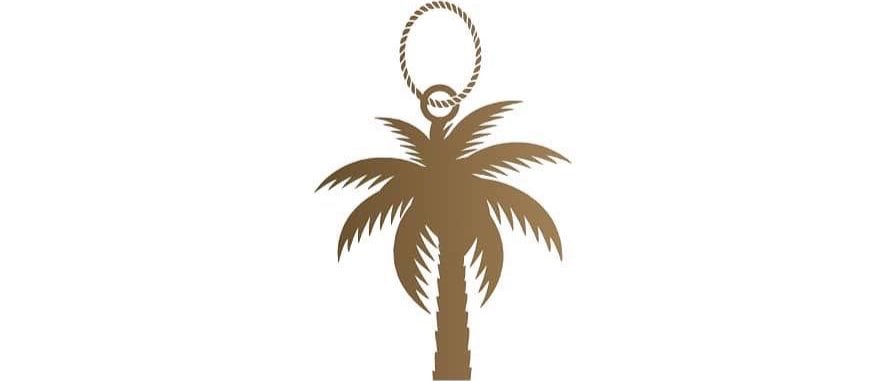The palm designs