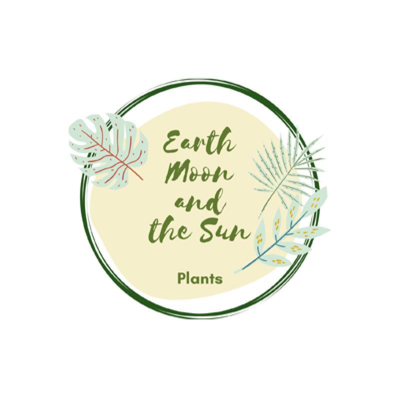 Earth Moon & the Sun