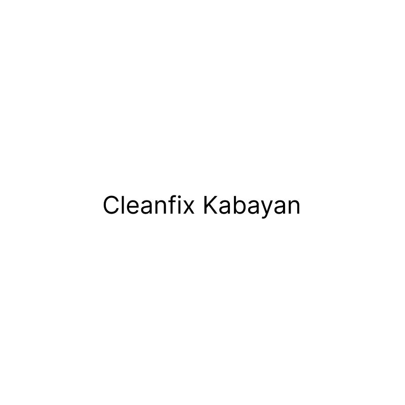 Cleanfix Kabayan