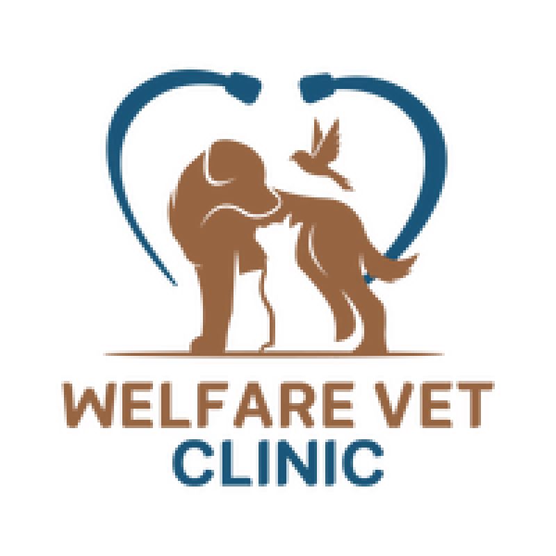 Welfare Veterinary Clinic