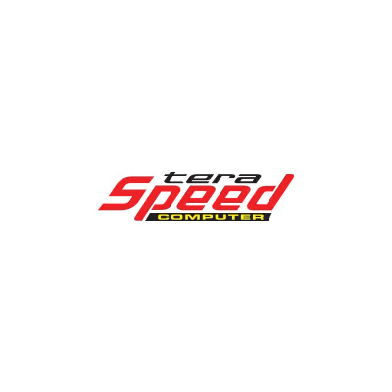 Tera Speed Computer