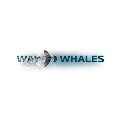 Way To Whales