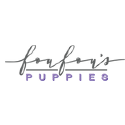 Foufou Puppies