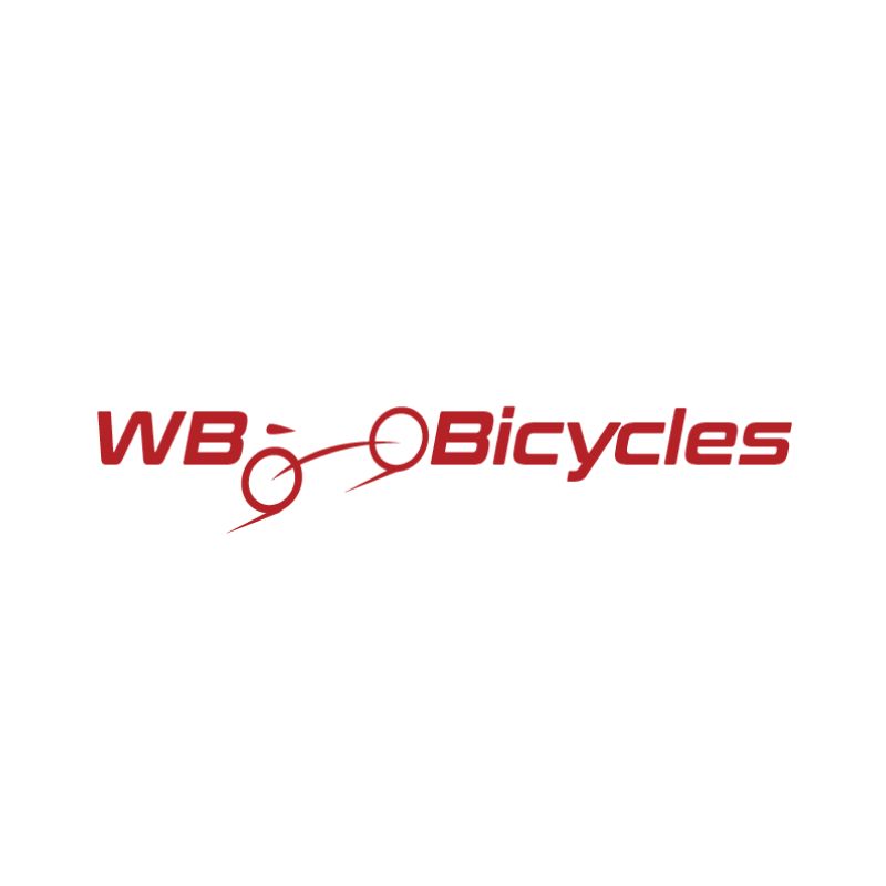 Wazeer Begum Bicycle