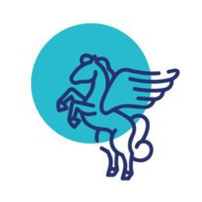 Pegasus Healthcare