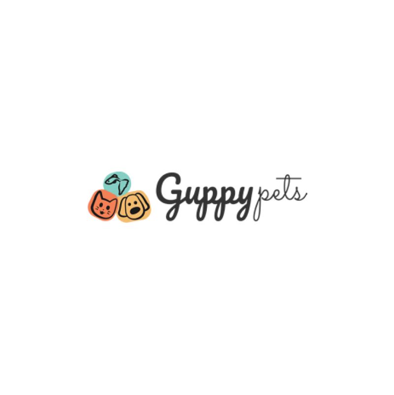 Guppy Pets