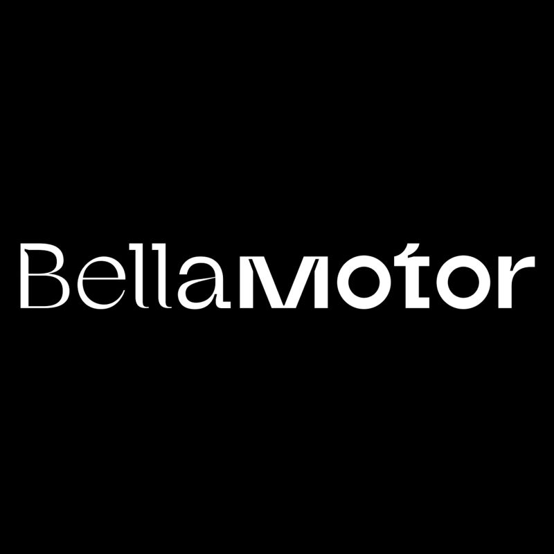 BELLA MOTOR FOR AUTO GENERAL REPAIRING L.L.C