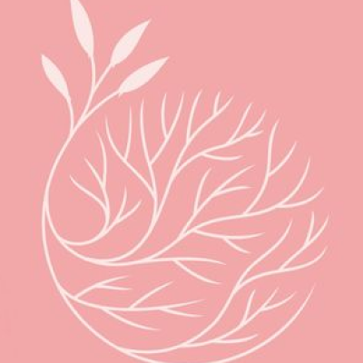 Roots beauty by Anila