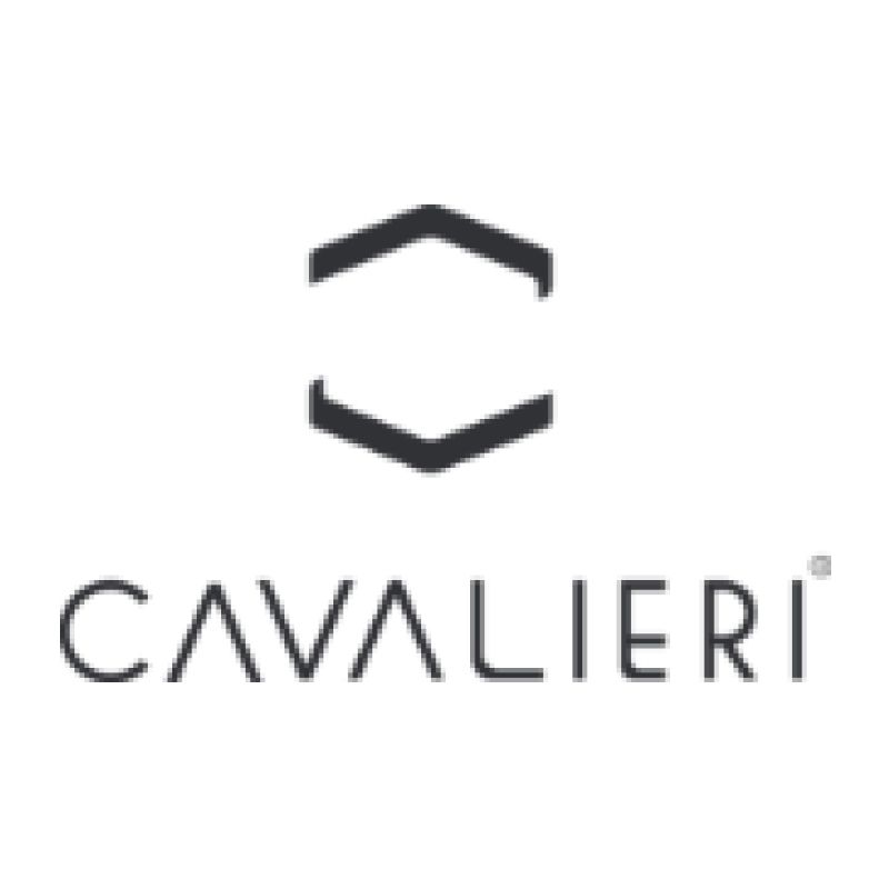 Cavalieri