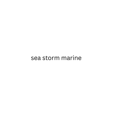 sea storm marine
