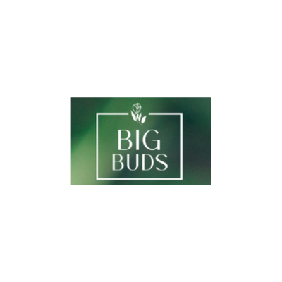 Big Buds Flowers