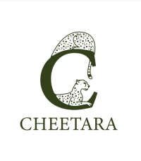 Cheetara