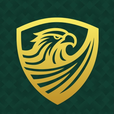 Falcon Football Academy