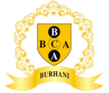 Burhani Car Accessories