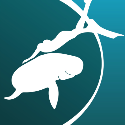 Freediving UAE