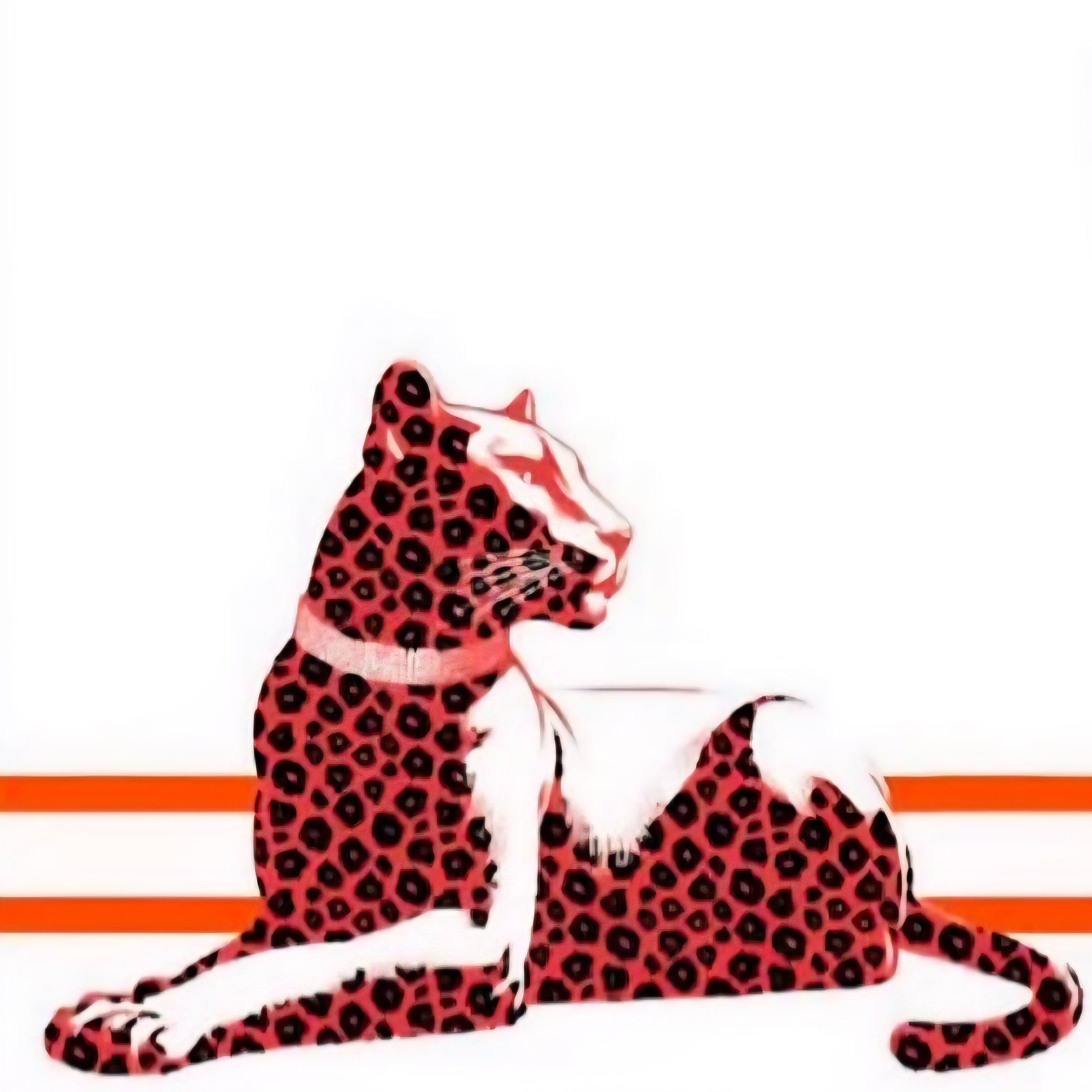 L'ame de panther 