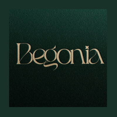 Begonia