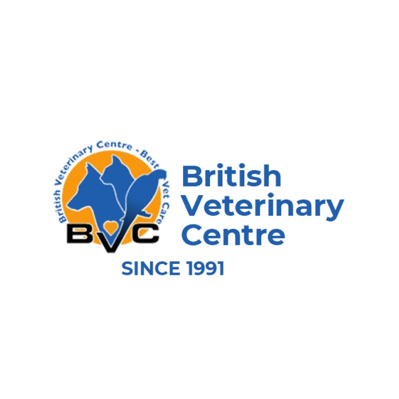 BVC