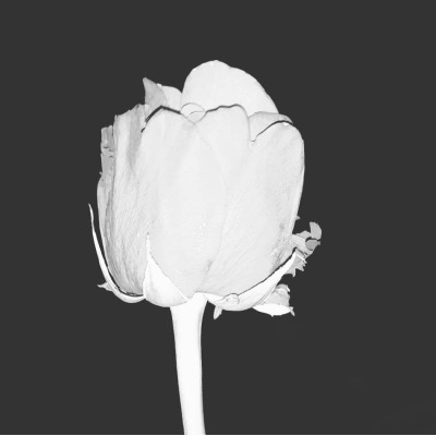 Design anonymous