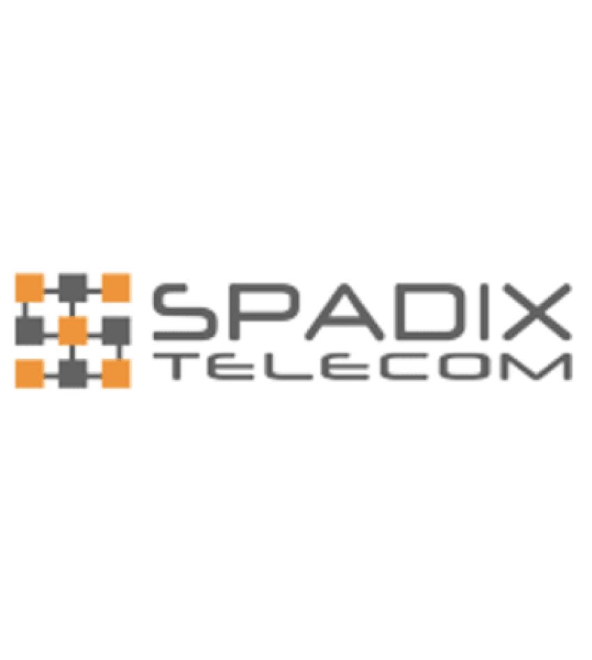 Spadix