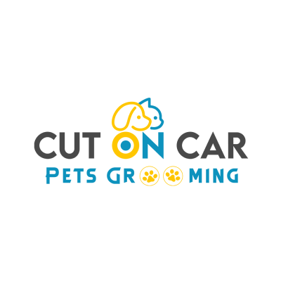 Cut On Car Pets Grooming