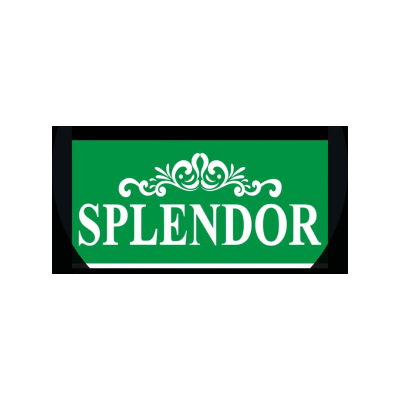 Splendor Charm