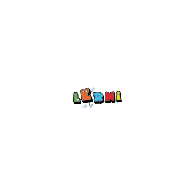 Lerni Toys