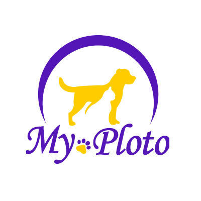 My ploto