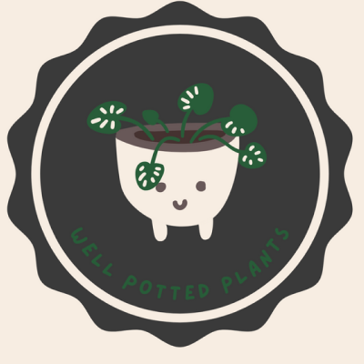 Well potted plants