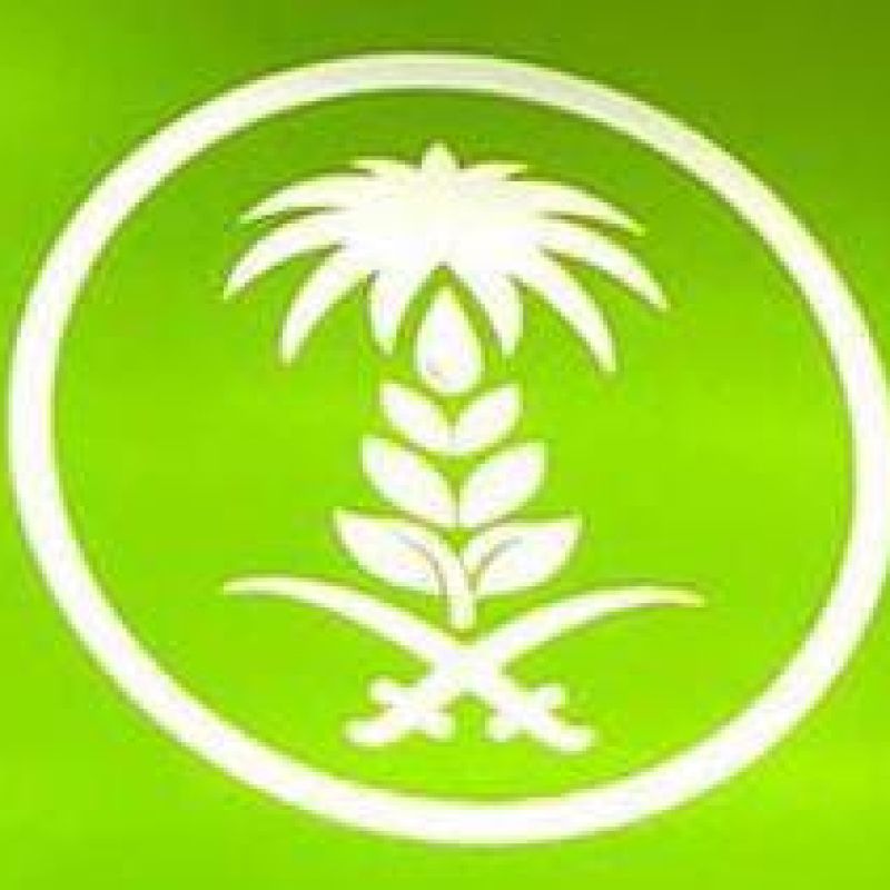 صيته فهد بن غريب الشيباني