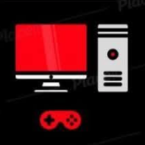 Budget Gamer 