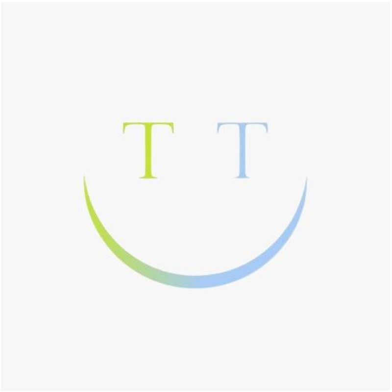 The Travels Company