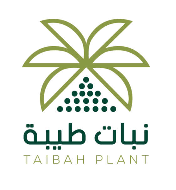 متجر نبات طيبه