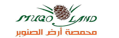 محمصة ارض الصنوبر