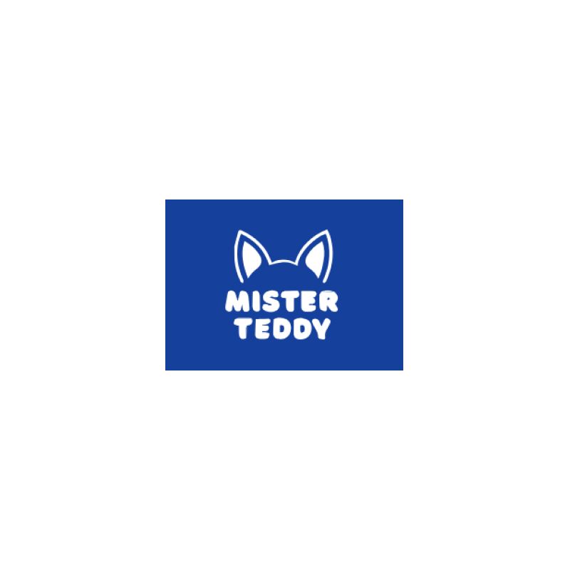 Mister Teddy