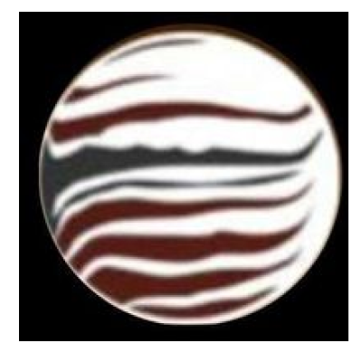 OKAPI Travel and Tourism